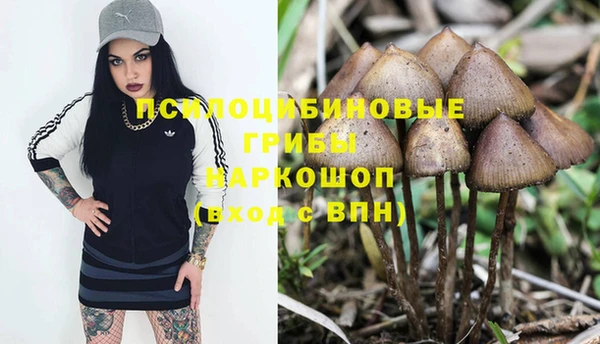 соль курить ск Новодвинск