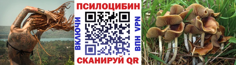 Псилоцибиновые грибы GOLDEN TEACHER  даркнет официальный сайт  Тетюши 